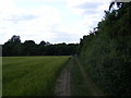 TM3761 : Bridleway to Deadman's Lane by Geographer