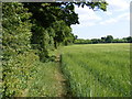 TM3761 : Bridleway to the A12 Benhall Bypass by Geographer