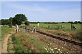 TG3019 : Level Crossing on the Bure Valley Railway by Glen Denny