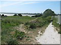 TR3664 : Footpath near Coastguard Cottages by David Anstiss