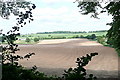 SU5928 : Farmland near Cheriton by Graham Horn