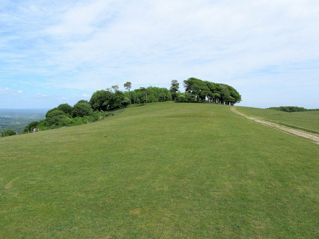 Approaching Chanctonbury Ring from the West