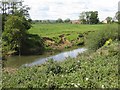 SE7476 : Erosion on the bank of the River Rye by Pauline E