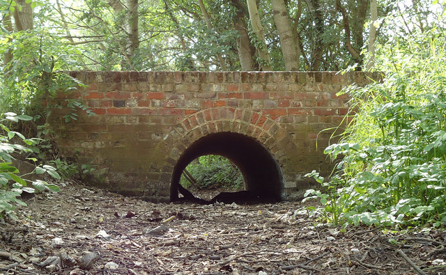 Bridge over dry brook, Belhus