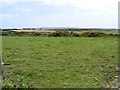 W0230 : Grazing field - Ardnagroghery Townland by Mac McCarron