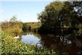 SJ4058 : The River Dee near Aldford by Jeff Buck