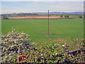 SO8841 : Farmland at Hill Croome by Trevor Rickard