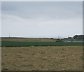 NZ3863 : Farmland at Cleadon Lizards by peter robinson