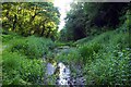 SP5705 : Boggy wetland in the former railway cutting by Steve Daniels