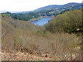 NN5204 : Bracken and bushes, Achray Forest by Maigheach-gheal