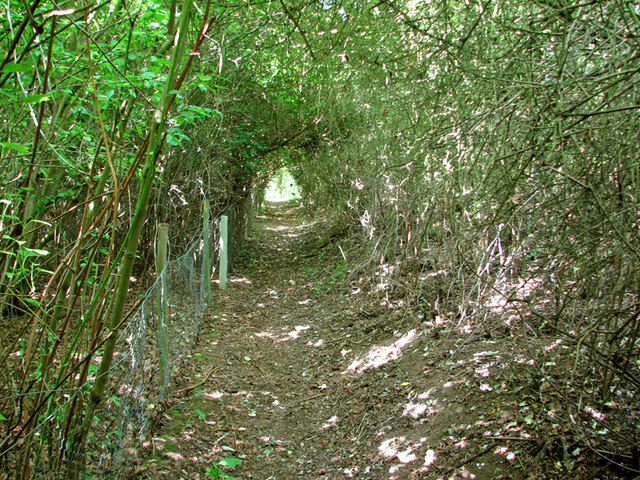 Permissive path near Fen Ditton