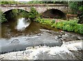 SJ8990 : The end of the River Goyt by Gerald England