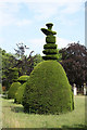 SK9816 : Clipsham topiary by Richard Croft