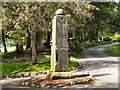 SJ9598 : Ashton's Old Market Cross, Stamford Park by David Dixon