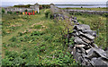 J5985 : Drystone wall, Lighthouse Island (1) by Albert Bridge