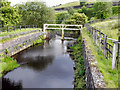 SE0311 : Tunnel End Reservoir Overflow by David Dixon