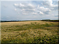  : Barley field from Hedleyhill Lane by Trevor Littlewood