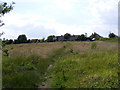 TM2862 : Footpath to Hill Farm & Lampardbrook by Geographer