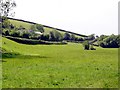 SX7146 : Valley Side near Culverwell by Tony Atkin