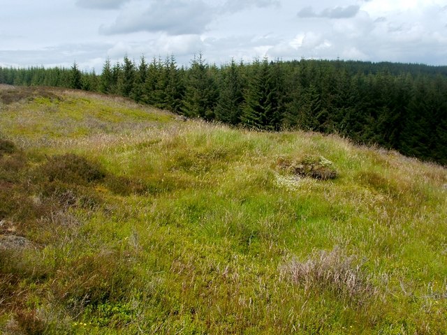 Grouse Butt near Riggangower