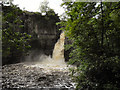 NY8828 : River Tees, High Force by David Dixon