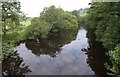 SE1565 : River Nidd by Derek Harper