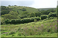 SX6673 : Dartmoor Forest: above the West Dart by Martin Bodman