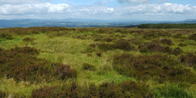 Site of former limestone quarrying