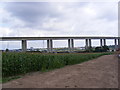 TM1741 : Orwell Bridge by Geographer