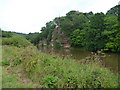 SO7390 : River Severn and riverside cliff by Richard Law