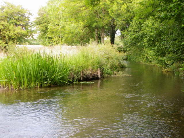 River Ebble, Bishopstone