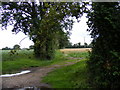 TM4363 : Footpath to the B1119 Saxmundham Road by Geographer