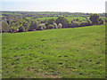 SK3942 : Pasture land on Marks Hill by Trevor Rickard