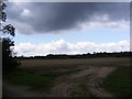 TM3958 : Field next to the footpath to Gromford Lane by Geographer