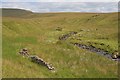 SD7573 : Ruined Bield, Fell Beck by Mick Garratt