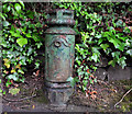 J3470 : Old lamppost, Belfast by Albert Bridge