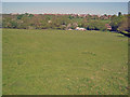 SK3944 : Pasture land near Hilltop Farm by Trevor Rickard