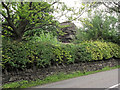 SJ8956 : First view of the rocks by Jonathan Kington