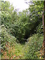 TM4265 : Footpath to Harrow Lane by Geographer