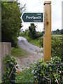 TM4160 : Grove Road & Sandlings Walk Footpath sign by Geographer