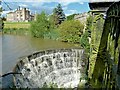 SE2860 : Lower Cascade, The Lake, Ripley Castle by Paul Buckingham