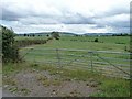 SP0433 : Double gate into field by Christine Johnstone