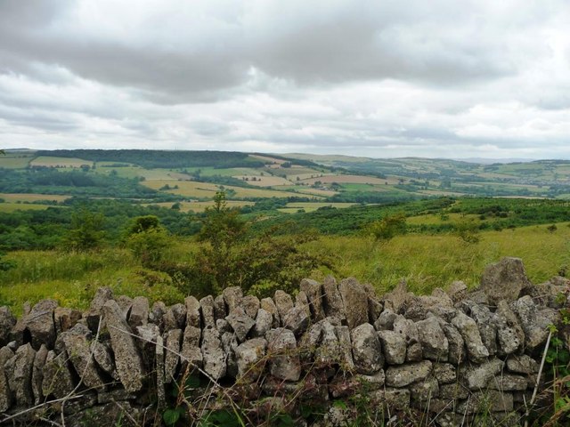 Roadside dry stone wall