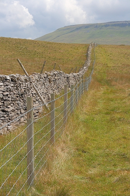 Wall and Fence, Sell Gill Hill