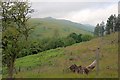 SK1588 : View up the Woodlands Valley by Mick Garratt