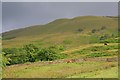 SK1589 : Field Near Rowlee Farm by Mick Garratt