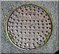 J4173 : Manhole cover, Dundonald by Rossographer