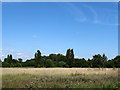 TQ3568 : Open grassland in South Norwood Country Park by Stephen Craven