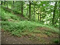 SE1427 : Steep woodland, Judy Woods by Christine Johnstone