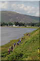 NT2319 : The 2011 Durty Scottish Cross (Off-Road) Triathlon Championships by Walter Baxter